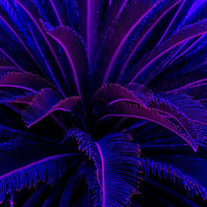 Meet your Posher, Fabian